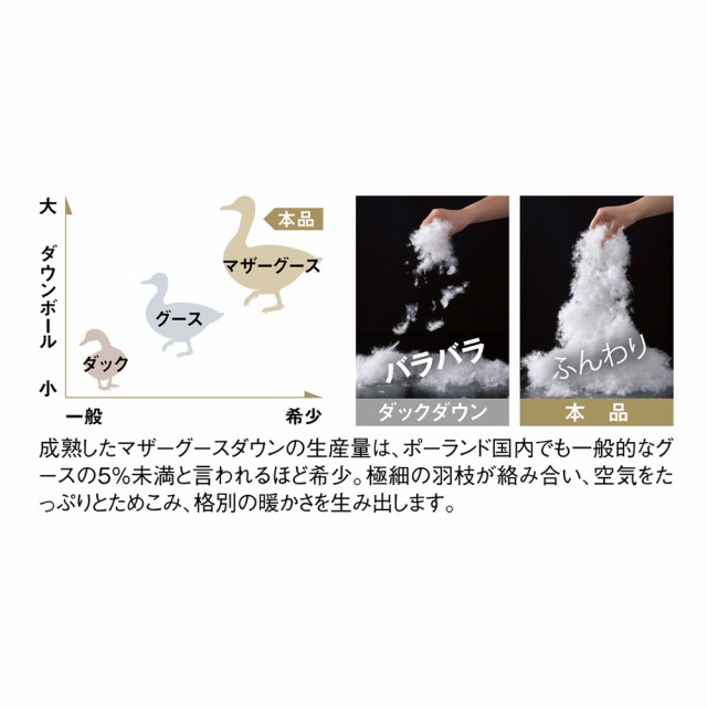 新品特価 ベッド PAY マーケット - ディノス au PAY マーケット店 寝具 布団 毛布 クイーンロング(最高位ラベル取得ポーランド産マザーグースプレミアム羽毛掛け布団 立体2層羽毛布団) 545421の通販はau 新作入荷安い