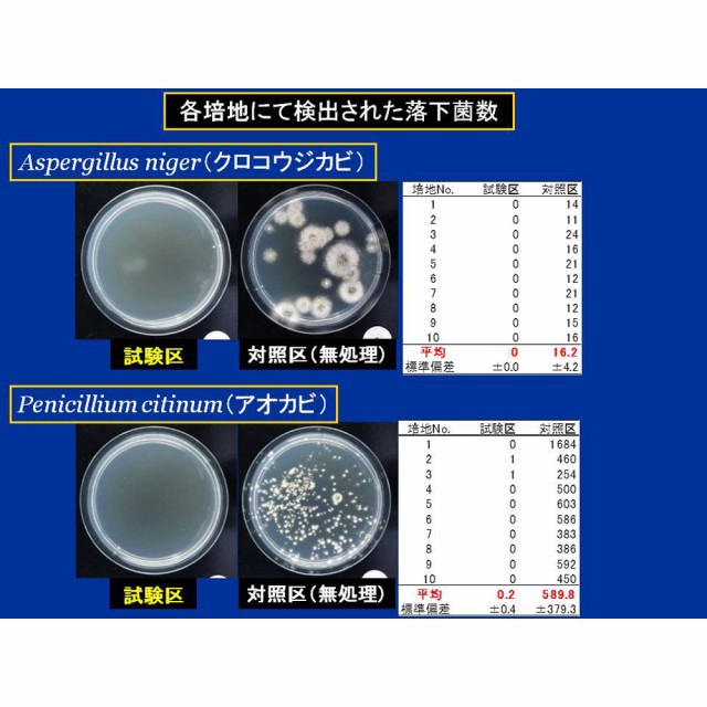 掃除用品 ゴミ箱 カビ取り パイプクリーナー 安心空間 カビ阻止