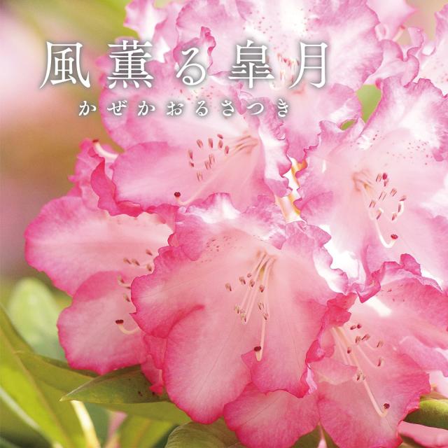 在庫日本製 ベッド 洗える麻敷きパッド) WM0317の通販はau PAY マーケット - ディノス au PAY マーケット店|商品 寝具 布団 毛布 ベッドパッド 敷きパッド ダブル(季ノ布 麻のシャリ感 風薫る皐月シリーズ セール
