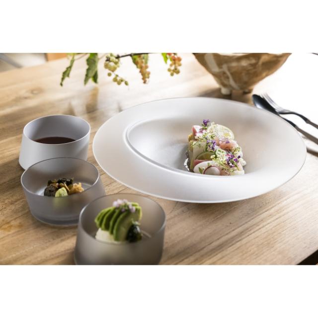 エイラス 割れない皿 食器 食洗器対応 日本製 国産 割れ ない 皿 ARAS