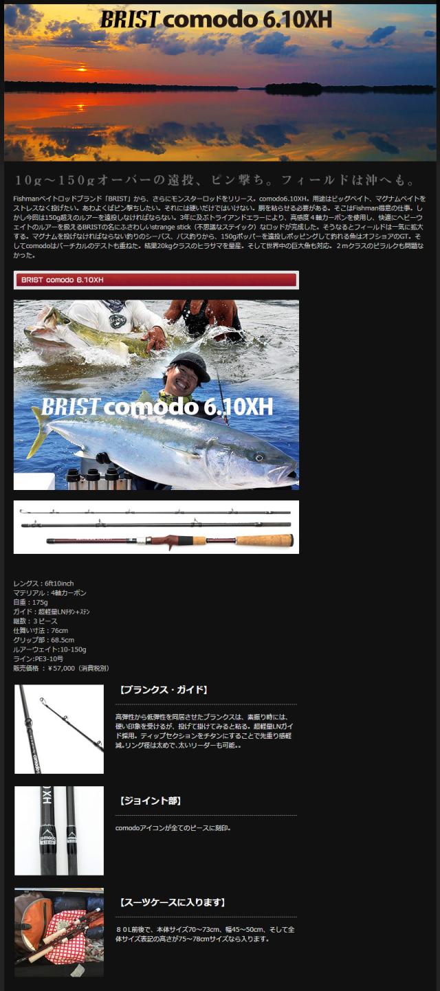 [Fishman/フィッシュマン] BRIST comodo 6.10XH
