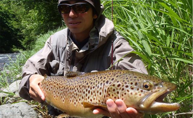 [Fishman/フィッシュマン] ★新製品★Beams blancsierra ブランシエラ 5.2UL