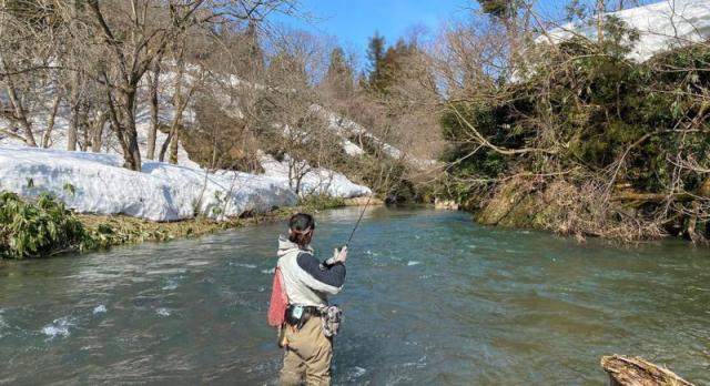 【Fishman/フィッシュマン】 Beams LOWER 6.2L