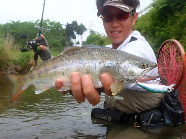 【Fishman/フィッシュマン】 Beams LOWER 6.2L