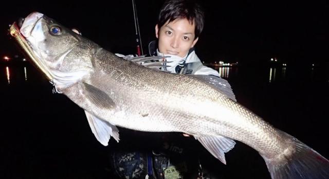 【Fishman/フィッシュマン】 BRIST comodo 7.5H（ブリスト コモド）