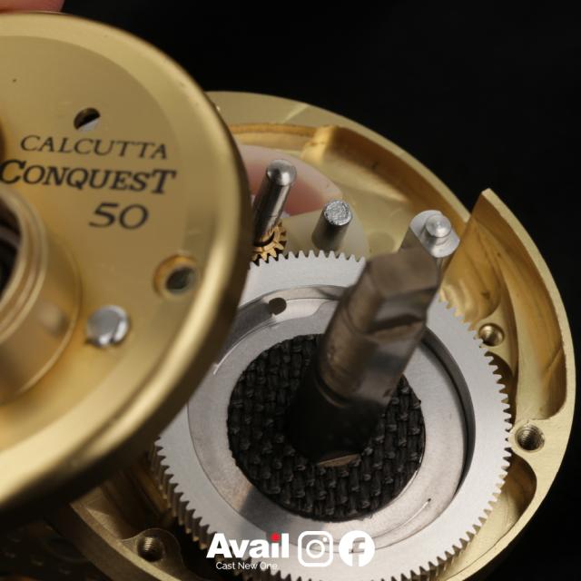 01カルカッタコンクエスト51　デーモン 6.7ギヤセット avail Avail/アベイル】デーモン 6.7ギヤセット 01カルカッタコンクエスト50