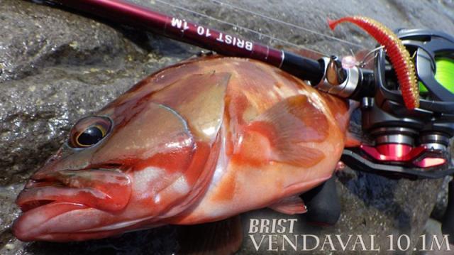 [Fishman/フィッシュマン]BRIST VENDAVAL 10.1M（ベンダバール）