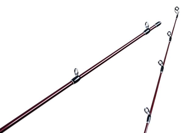 [Fishman/フィッシュマン]Beams blancsierra 3.9UL LIMITED（ブランシエラ）