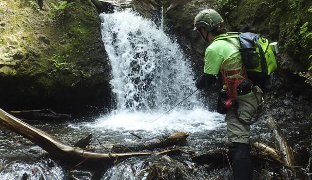 [Fishman/フィッシュマン] Beams Xpan 4.3LTS