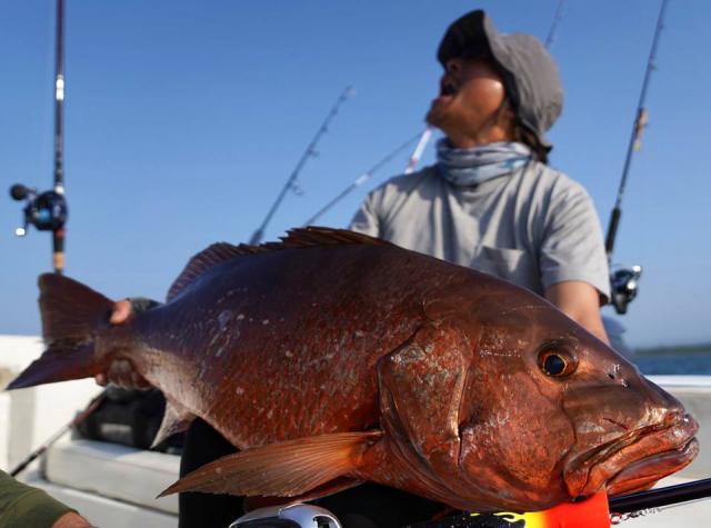 [Fishman/フィッシュマン] ★新製品★BC4 8.3XXXH