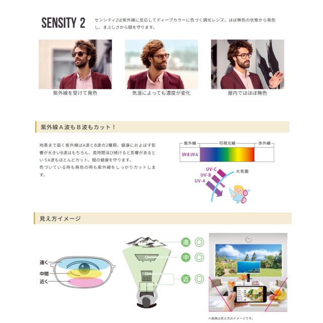 商品説明