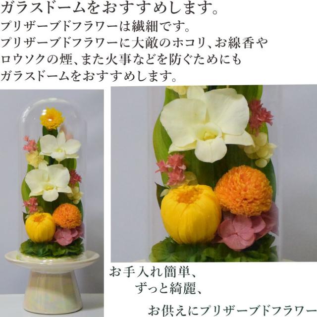 仏壇用 初盆 通販 お供え 彩雲 プリザーブドフラワー 法事 仏壇用 法要 仏花 お悔やみ花 仏壇 お彼岸 仏壇花 ガラスドーム お盆 Gordonterrace Ca