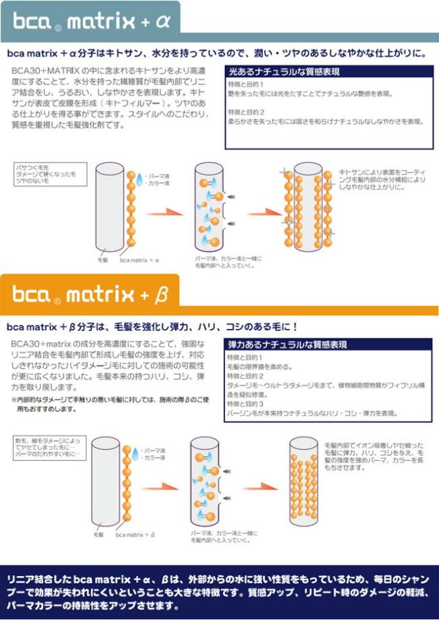 ビーシーエー マトリックス プラス ベータ / 90mL 【bca matrix +β