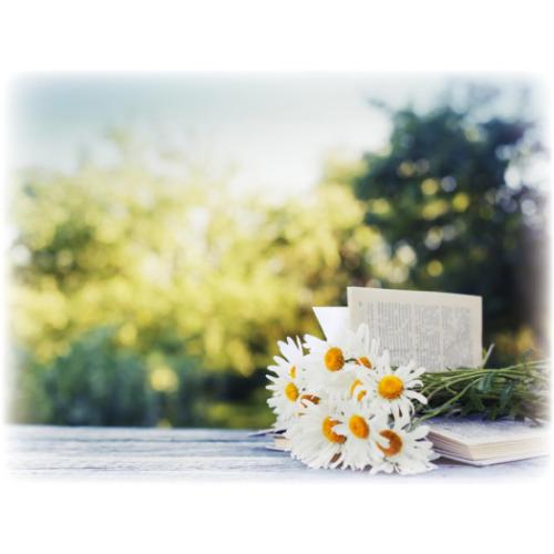 ボタニカルライフカレンダー 2026Calendar 壁掛けカレンダー2026年 スケジュール インテリア 令和8年暦