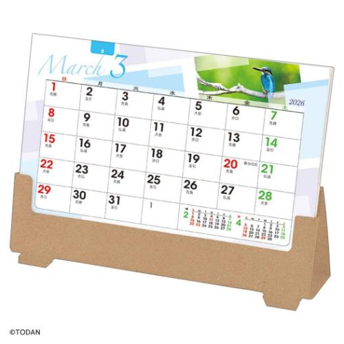 卓上オールペーパー 森のかがやき 2026 Calendar カレンダー2026年 スケジュール 実用 書き込み 令和8年暦 メール便可