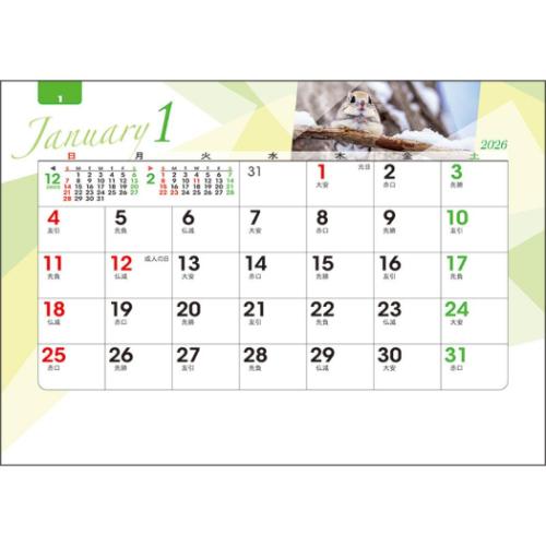 卓上オールペーパー 森のかがやき 2026 Calendar カレンダー2026年 スケジュール 実用 書き込み 令和8年暦 メール便可