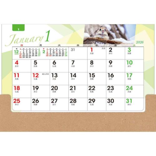 卓上オールペーパー 森のかがやき 2026 Calendar カレンダー2026年 スケジュール 実用 書き込み 令和8年暦 メール便可