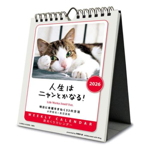 人生はニャンとかなる! 卓上 壁掛 2026 Calendar 卓上カレンダー2026年 ねこ 動物 写真 令和8年暦 メール便可