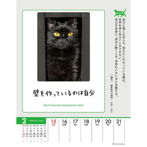 人生はニャンとかなる! 卓上 壁掛 2026 Calendar 卓上カレンダー2026年 ねこ 動物 写真 令和8年暦 メール便可