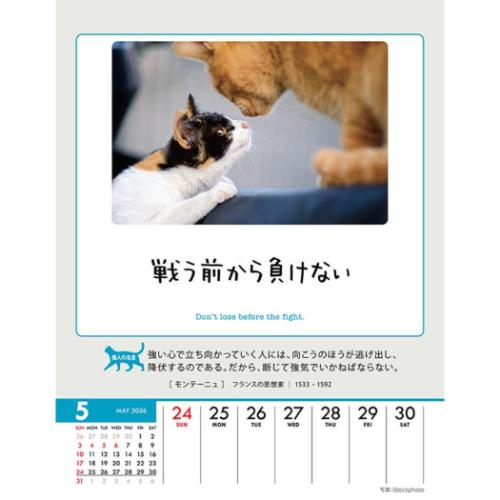 人生はニャンとかなる! 卓上 壁掛 2026 Calendar 卓上カレンダー2026年 ねこ 動物 写真 令和8年暦 メール便可