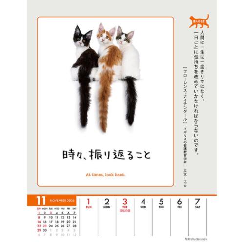 人生はニャンとかなる! 卓上 壁掛 2026 Calendar 卓上カレンダー2026年 ねこ 動物 写真 令和8年暦 メール便可