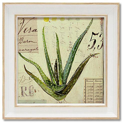 取寄品 アートポスター 額付 カフェ インテリア ミニ ゲル アート フレーム アンジェラ・スターリング アロエベラ