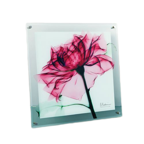 取寄品 送料無料 フラワー アート ガラスアート X RAY ティールローズ Mサイズ インテリア雑貨