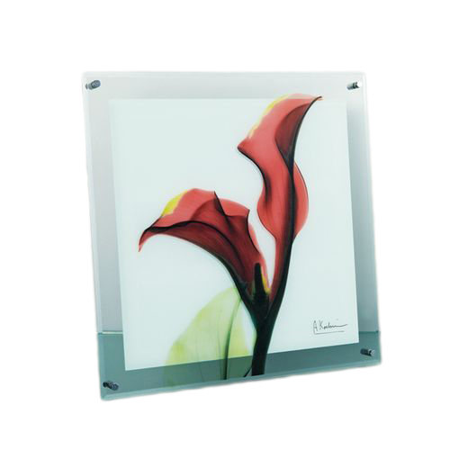 取寄品 送料無料 フラワー アート ガラスアート X RAY カラーレッド Mサイズ インテリア雑貨