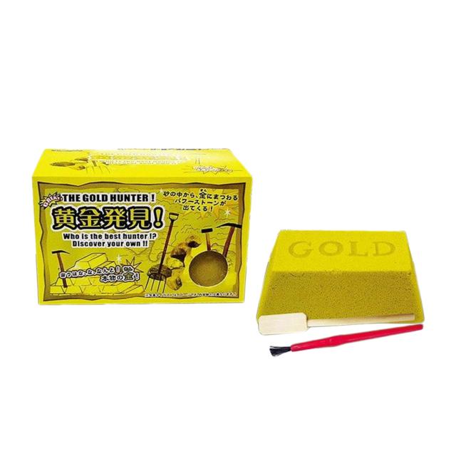 黄金発見 宝探しキット ラッキーストーン おもしろ雑貨 グッズ
