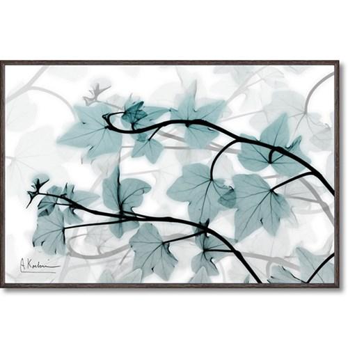 アルバート クーツィール フラワーアート X RAY キャンバスアート アイビー(Sサイズ) 30.5x20.5cm インテリア グッズ 取寄品