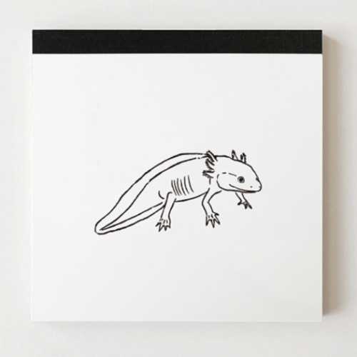 メモ帳 ウーパールーパー スクエア メモ Animal Series アニマル 4柄100枚 シンプルイラスト グッズ メール便可