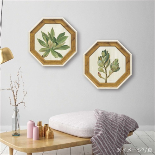 シルビア・ヴァシレヴァ 静物画 八角 ミニゲル アートフレーム フロントヤード サキュレント1 SV-02551 取寄品