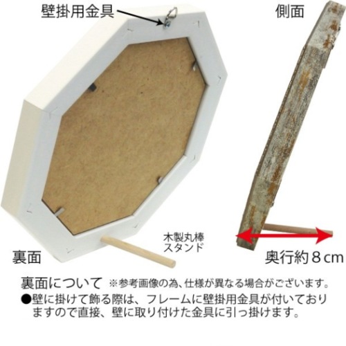 シルビア・ヴァシレヴァ 静物画 八角 ミニゲル アートフレーム フロントヤード サキュレント3 SV-02553 取寄品