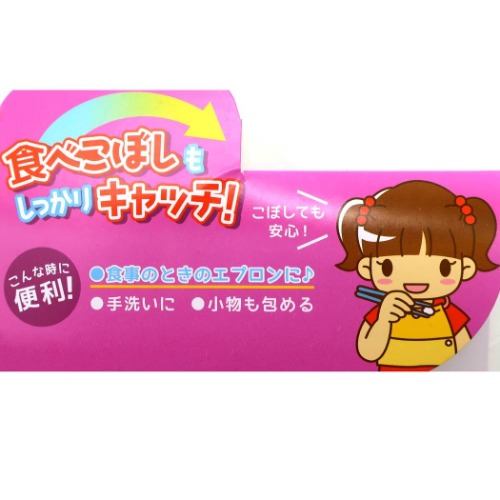 ディズニープリンセス ゴム＆ボタン付きキッズおてふきタオル ポケット付き おりこうタオル ドレスアップ ディズニー メール便可