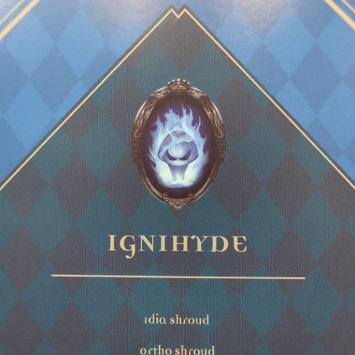 ツイステッドワンダーランド A5 ノート イグニハイド 横罫 ノート ディズニー キャラクター グッズ メール便可