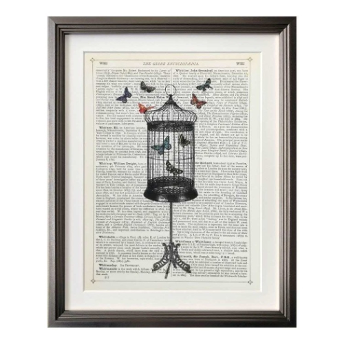 マリオン マコネギー アートフレーム Marion McConaghie Bird Cage＆Butterflies 壁掛け 額付き インテリア 取寄品