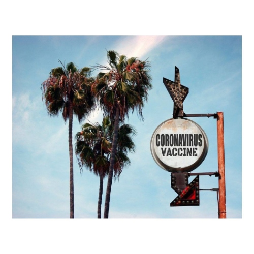 キャンバスアート Petit Canvas Art CORONAVIRUS VACCINE 500x400mm ギフト 壁掛け インテリア 取寄品