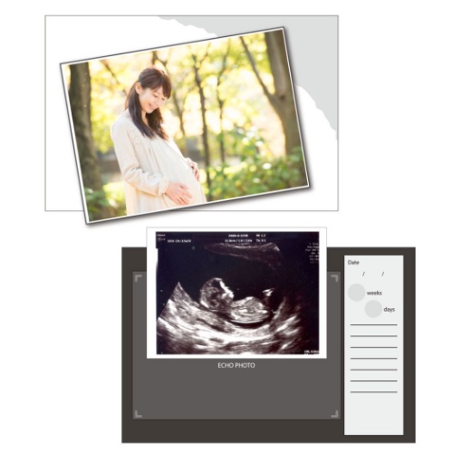 くまのプーさん エコー写真アルバム ベビーダイアリー &mom ディズニー キャラクター グッズ メール便可