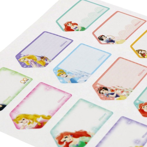 ディズニープリンセス タグに貼れる なまえシール ネームラベルシール 2022年新入学 ディズニー キャラクター グッズ メール便可