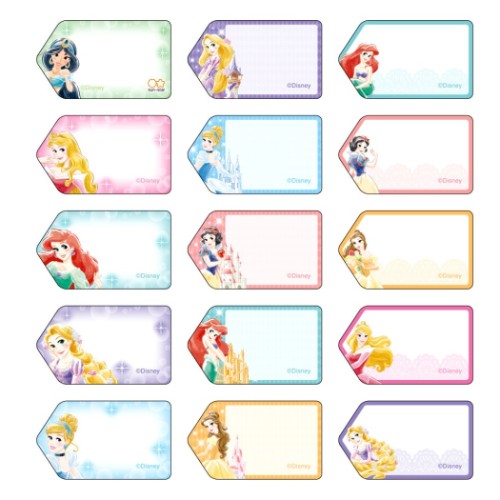 ディズニープリンセス タグに貼れる なまえシール ネームラベルシール 2022年新入学 ディズニー キャラクター グッズ メール便可
