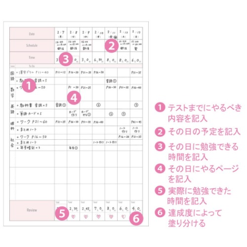 スタディープランノート 2週間 みおりん Study Time B5 学習帳 P ピンク 中学生 高校生 グッズ メール便可