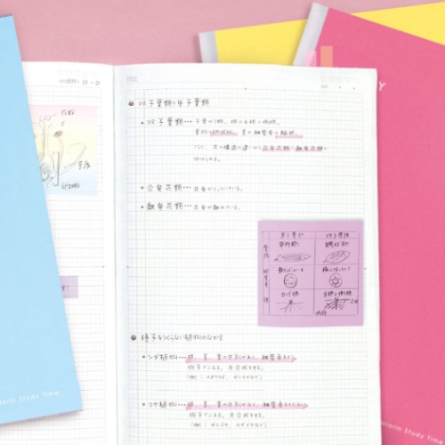 スタディーノート みおりん Study Time B5 学習帳 LP ライトピンク 中学生 高校生 グッズ メール便可
