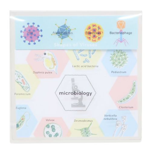 STUDY HOLIC 付箋 クリアカバーふせん 微生物学 事務用品 グッズ メール便可