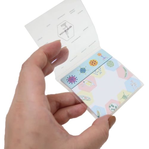 STUDY HOLIC 付箋 クリアカバーふせん 微生物学 事務用品 グッズ メール便可