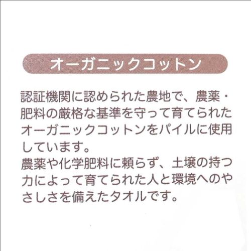 ハリーポッター オーガニックコットンミニタオル ジャガードハンカチタオル 死の秘宝 ワーナーブラザース メール便可