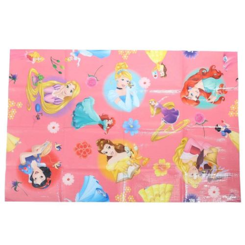 ディズニープリンセス ピクニック用品 レジャーシートS 1-2人用 S3 ディズニー キャラクター グッズ メール便可