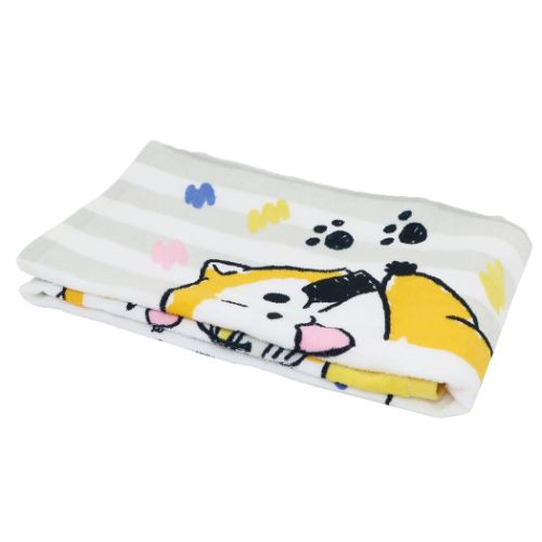 あらいぐまラスカル フェイスタオル プリントロングタオル カラフルラスカル キジ 世界名作劇場 キャラクター グッズ メール便可