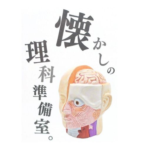 おもしろ雑貨 陶器製貯金箱 人体模型バンク おもしろ雑貨 プレゼント ギフト グッズ