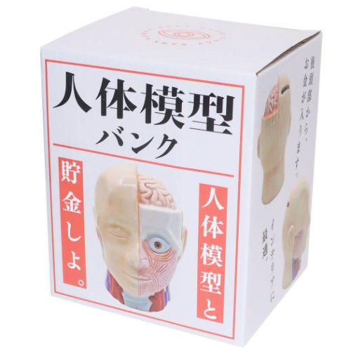 おもしろ雑貨 陶器製貯金箱 人体模型バンク おもしろ雑貨 プレゼント ギフト グッズ