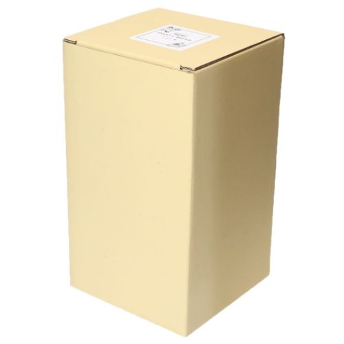 ビアグラス ジョッキ PARTY BEAR グッズ